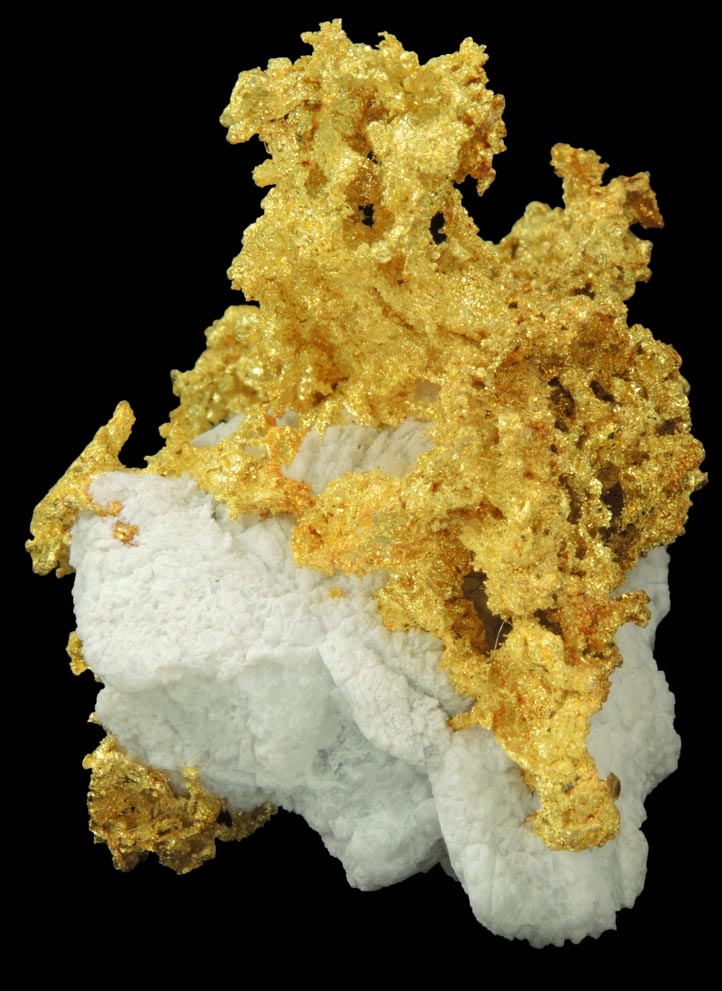 Gold in Quartz (naturally crystallized native gold) from Sixteen-To-One Mine (16 to 1 Mine), Alleghany, 35 km NE of Grass Valley, Sierra County, California