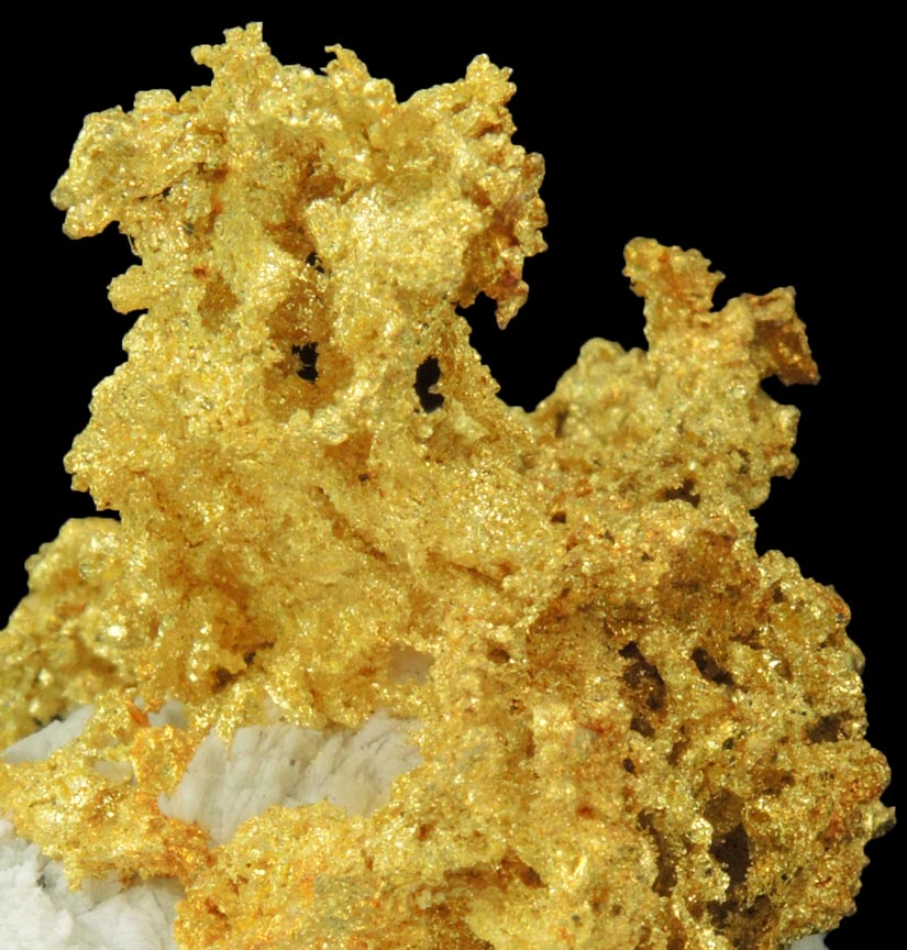 Gold in Quartz (naturally crystallized native gold) from Sixteen-To-One Mine (16 to 1 Mine), Alleghany, 35 km NE of Grass Valley, Sierra County, California