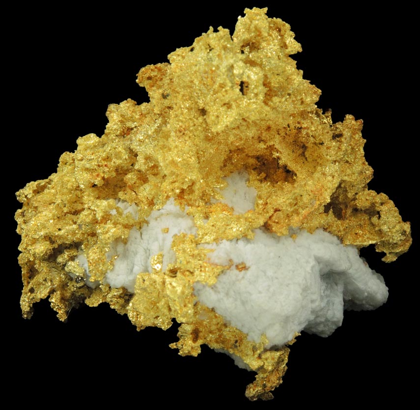 Gold in Quartz (naturally crystallized native gold) from Sixteen-To-One Mine (16 to 1 Mine), Alleghany, 35 km NE of Grass Valley, Sierra County, California