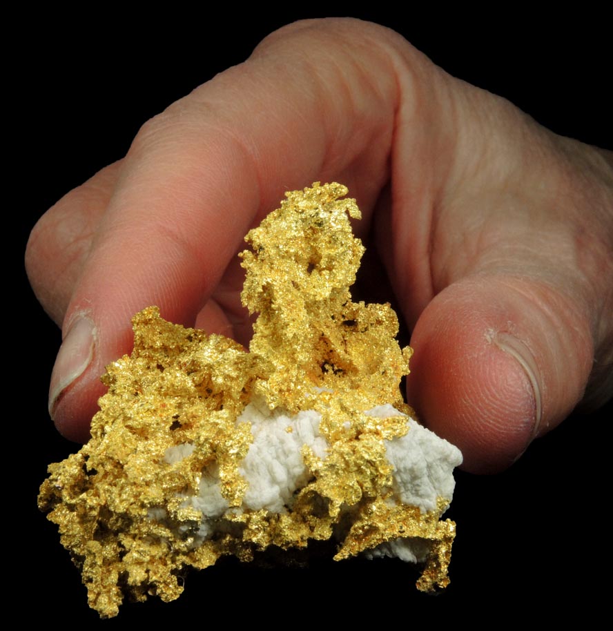 Gold in Quartz (naturally crystallized native gold) from Sixteen-To-One Mine (16 to 1 Mine), Alleghany, 35 km NE of Grass Valley, Sierra County, California