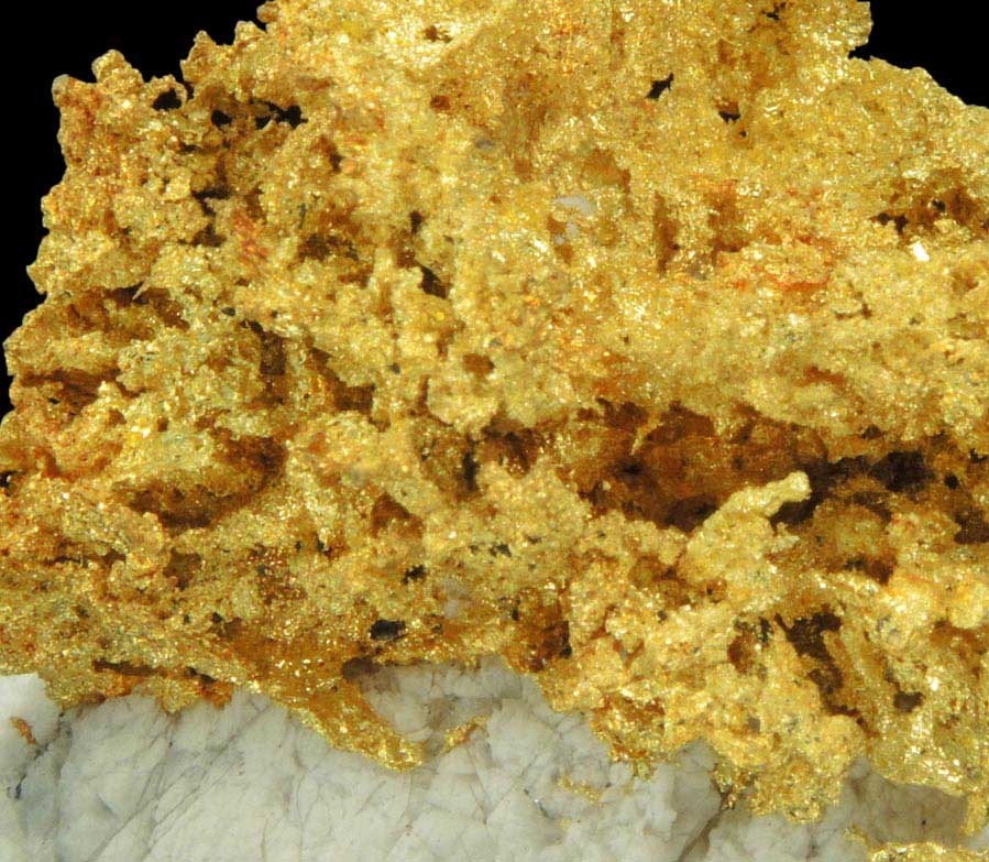 Gold in Quartz (naturally crystallized native gold) from Sixteen-To-One Mine (16 to 1 Mine), Alleghany, 35 km NE of Grass Valley, Sierra County, California