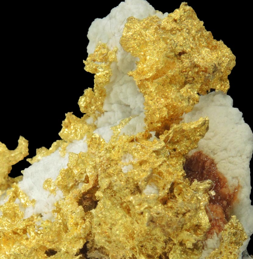 Gold in Quartz (naturally crystallized native gold) from Sixteen-To-One Mine (16 to 1 Mine), Alleghany, 35 km NE of Grass Valley, Sierra County, California