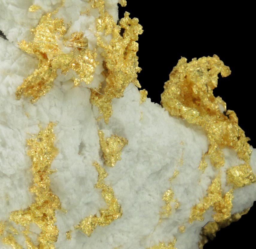 Gold in Quartz (naturally crystallized native gold) from Sixteen-To-One Mine (16 to 1 Mine), Alleghany, 35 km NE of Grass Valley, Sierra County, California