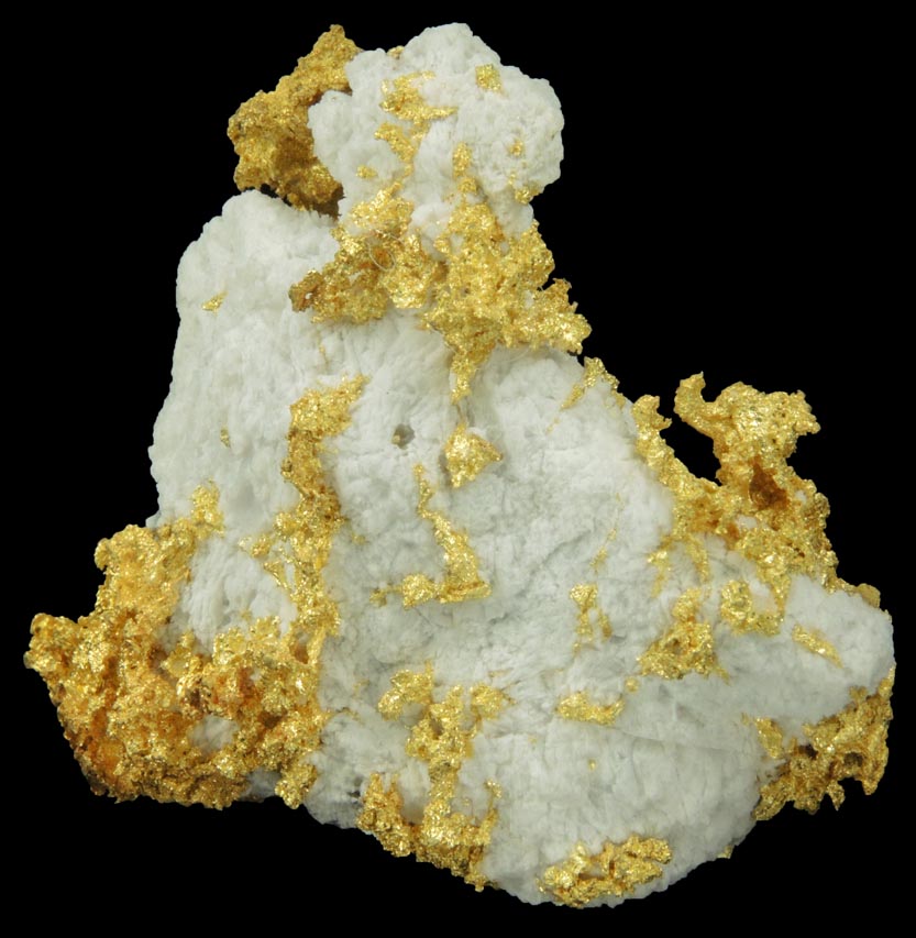 Gold in Quartz (naturally crystallized native gold) from Sixteen-To-One Mine (16 to 1 Mine), Alleghany, 35 km NE of Grass Valley, Sierra County, California