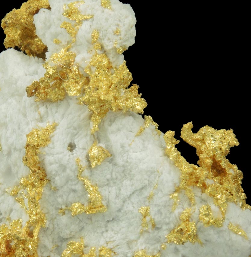 Gold in Quartz (naturally crystallized native gold) from Sixteen-To-One Mine (16 to 1 Mine), Alleghany, 35 km NE of Grass Valley, Sierra County, California