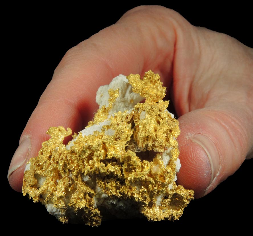 Gold in Quartz (naturally crystallized native gold) from Sixteen-To-One Mine (16 to 1 Mine), Alleghany, 35 km NE of Grass Valley, Sierra County, California