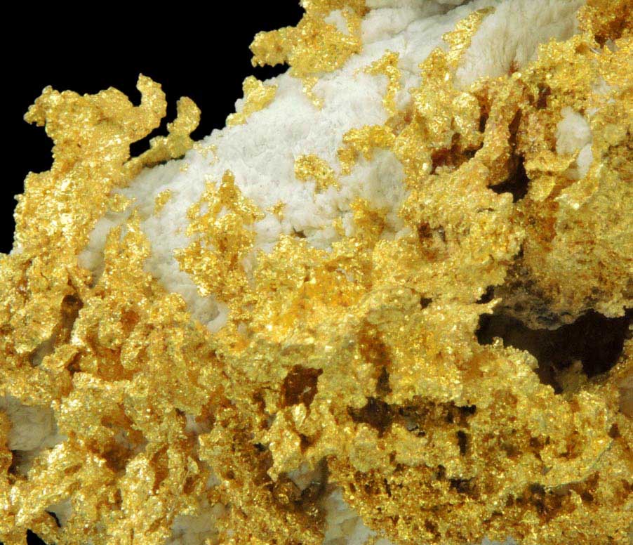 Gold in Quartz (naturally crystallized native gold) from Sixteen-To-One Mine (16 to 1 Mine), Alleghany, 35 km NE of Grass Valley, Sierra County, California