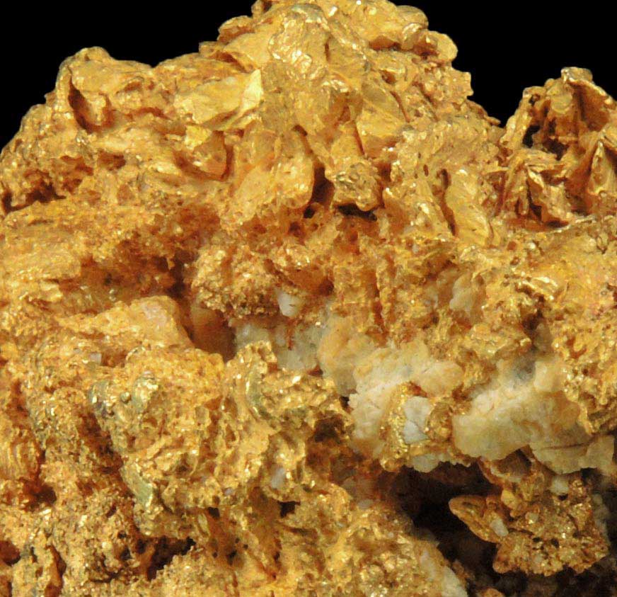 Gold (naturally crystallized native gold) with minor Quartz from Eagle's Nest Mine, Michigan Bluff District, Placer County, California