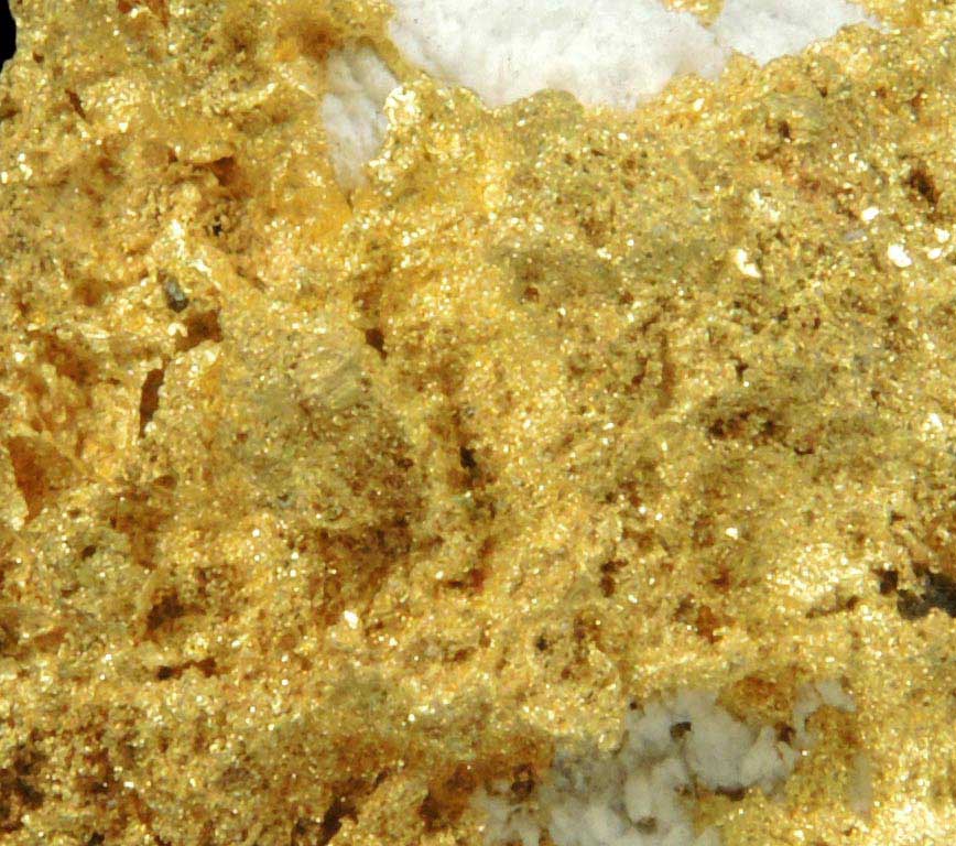 Gold in Quartz (naturally crystallized native gold) from Sixteen-To-One Mine (16 to 1 Mine), Alleghany, 35 km NE of Grass Valley, Sierra County, California