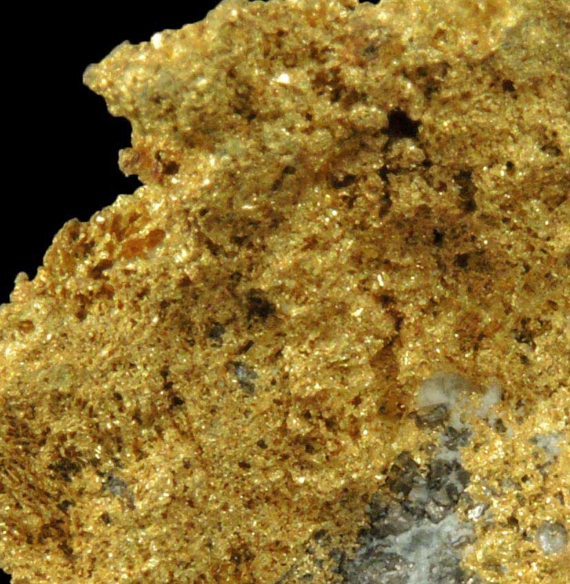 Gold in Quartz (naturally crystallized native gold) from Sixteen-To-One Mine (16 to 1 Mine), Alleghany, 35 km NE of Grass Valley, Sierra County, California