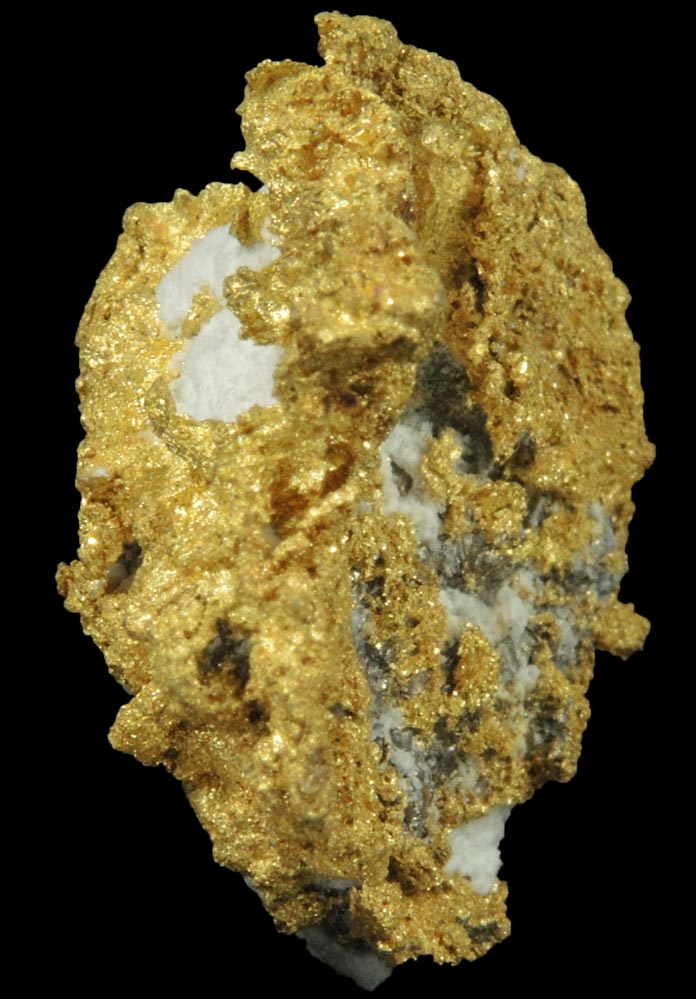 Gold in Quartz (naturally crystallized native gold) from Sixteen-To-One Mine (16 to 1 Mine), Alleghany, 35 km NE of Grass Valley, Sierra County, California