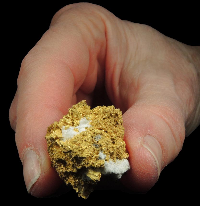 Gold in Quartz (naturally crystallized native gold) from Sixteen-To-One Mine (16 to 1 Mine), Alleghany, 35 km NE of Grass Valley, Sierra County, California