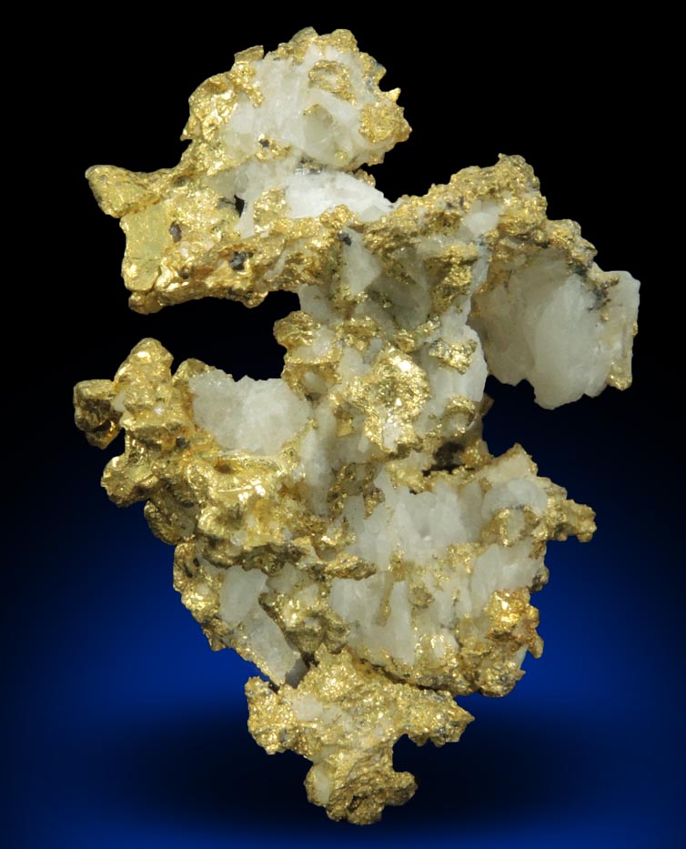 Gold in Quartz (naturally crystallized native gold) from Sixteen-To-One Mine (16 to 1 Mine), Alleghany, 35 km NE of Grass Valley, Sierra County, California