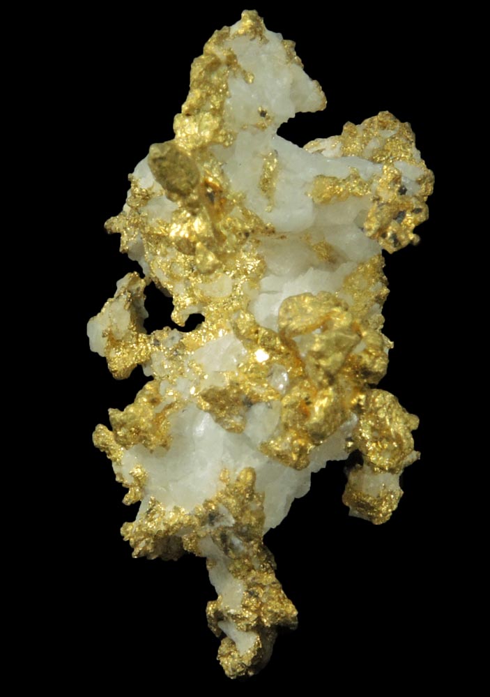 Gold in Quartz (naturally crystallized native gold) from Sixteen-To-One Mine (16 to 1 Mine), Alleghany, 35 km NE of Grass Valley, Sierra County, California