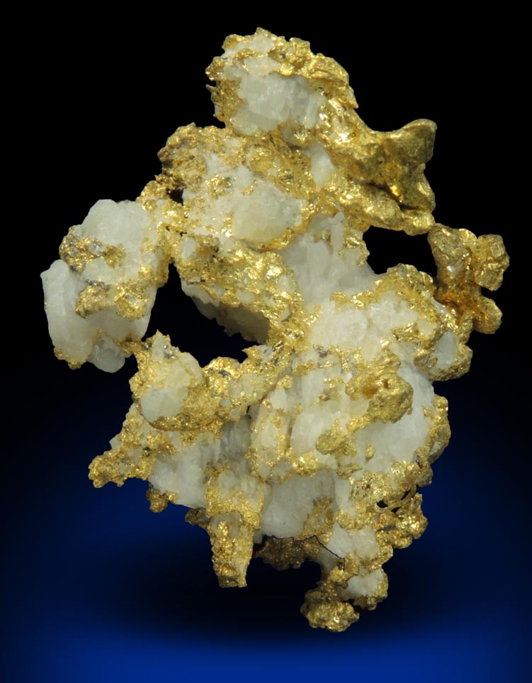 Gold in Quartz (naturally crystallized native gold) from Sixteen-To-One Mine (16 to 1 Mine), Alleghany, 35 km NE of Grass Valley, Sierra County, California