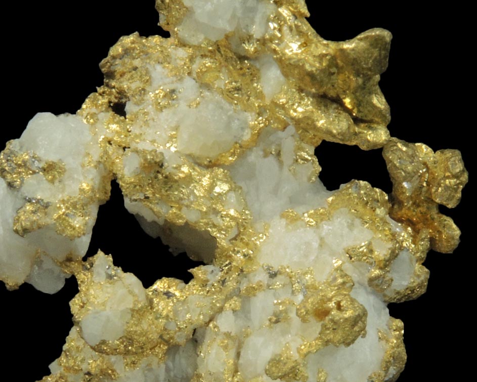 Gold in Quartz (naturally crystallized native gold) from Sixteen-To-One Mine (16 to 1 Mine), Alleghany, 35 km NE of Grass Valley, Sierra County, California