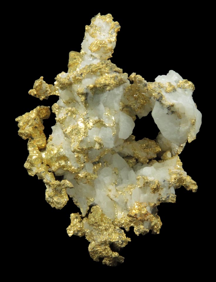 Gold in Quartz (naturally crystallized native gold) from Sixteen-To-One Mine (16 to 1 Mine), Alleghany, 35 km NE of Grass Valley, Sierra County, California