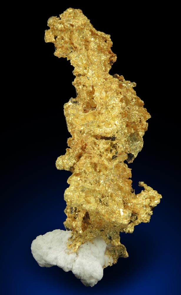 Gold (naturally crystallized native gold) with minor Quartz from Sixteen-To-One Mine (16 to 1 Mine), Alleghany, 35 km NE of Grass Valley, Sierra County, California