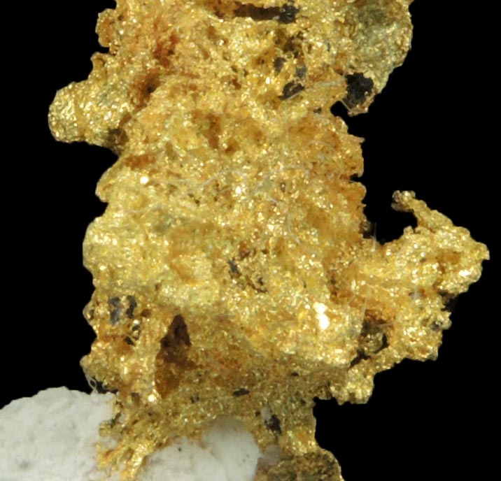 Gold (naturally crystallized native gold) with minor Quartz from Sixteen-To-One Mine (16 to 1 Mine), Alleghany, 35 km NE of Grass Valley, Sierra County, California