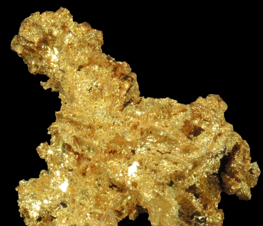 Gold (naturally crystallized native gold) with minor Quartz from Sixteen-To-One Mine (16 to 1 Mine), Alleghany, 35 km NE of Grass Valley, Sierra County, California