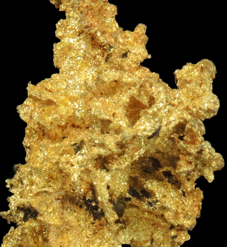 Gold (naturally crystallized native gold) with minor Quartz from Sixteen-To-One Mine (16 to 1 Mine), Alleghany, 35 km NE of Grass Valley, Sierra County, California
