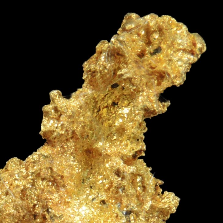 Gold (naturally crystallized native gold) with minor Quartz from Sixteen-To-One Mine (16 to 1 Mine), Alleghany, 35 km NE of Grass Valley, Sierra County, California