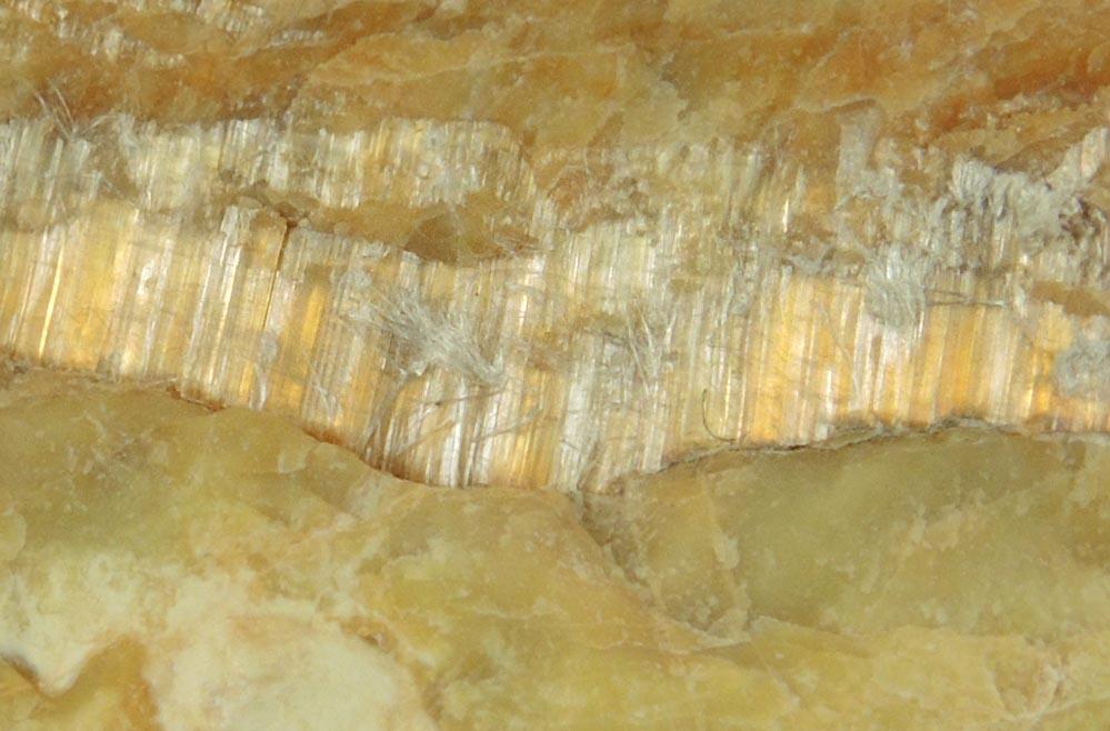 Clinochrysotile in Serpentine from Thetford Mines, Qubec, Canada