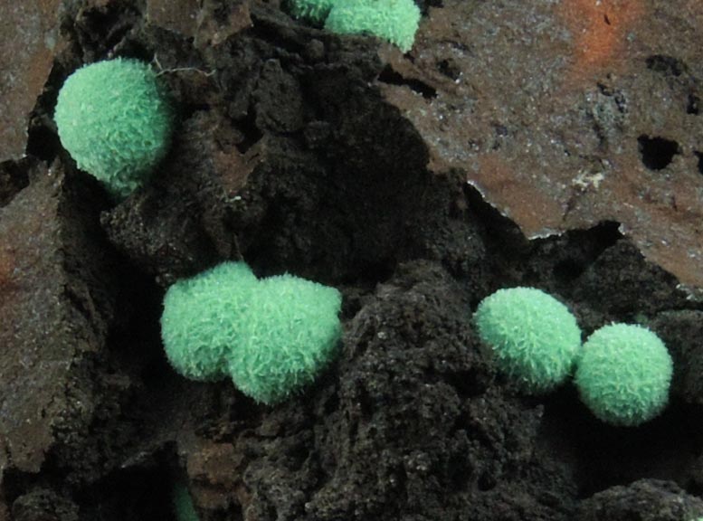 Malachite from Morenci Mine, 4750' Level, Lone Star Area, Clifton District, Greenlee County, Arizona