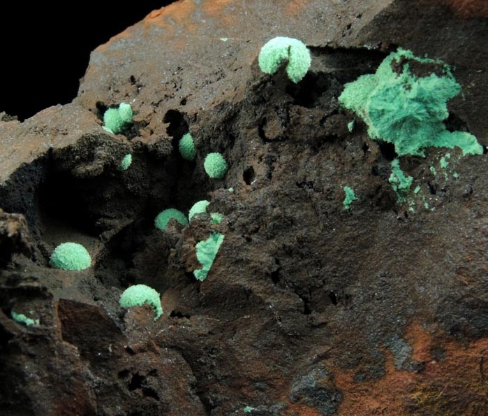 Malachite from Morenci Mine, 4750' Level, Lone Star Area, Clifton District, Greenlee County, Arizona