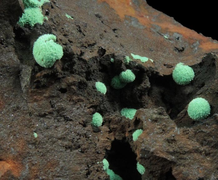 Malachite from Morenci Mine, 4750' Level, Lone Star Area, Clifton District, Greenlee County, Arizona