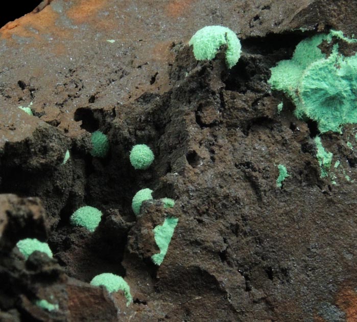 Malachite from Morenci Mine, 4750' Level, Lone Star Area, Clifton District, Greenlee County, Arizona