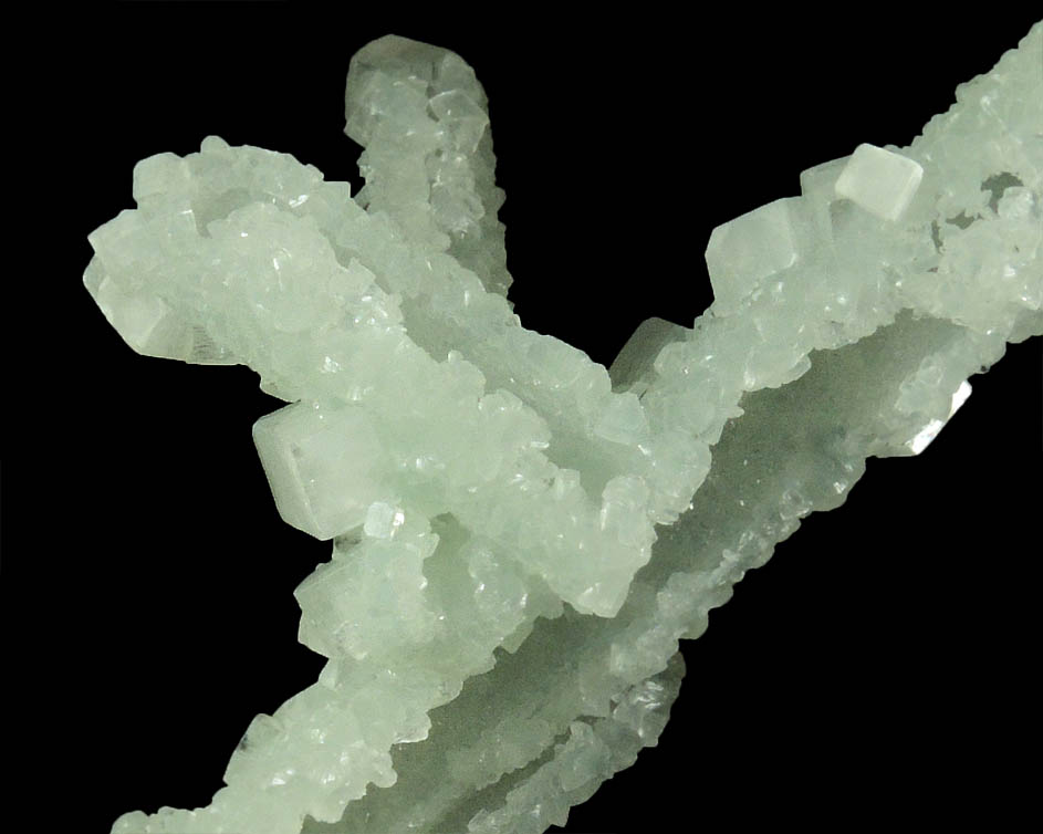 Apophyllite on Prehnite pseudomorphs after Laumontite from Mumbai District, Maharashtra, India