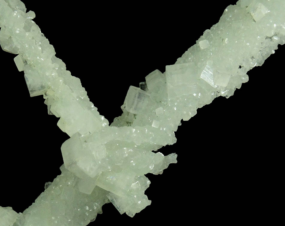 Apophyllite on Prehnite pseudomorphs after Laumontite from Mumbai District, Maharashtra, India