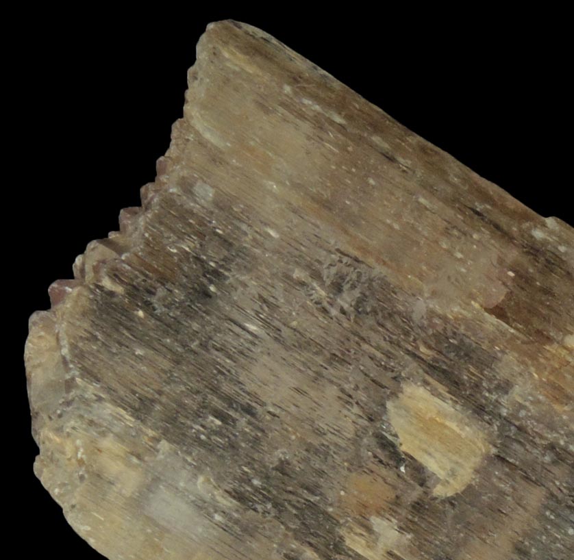 Spodumene var. Kunzite from Mawi Pegmatite, Nuristan, Afghanistan