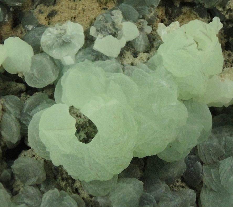Prehnite with pseudomorphic molds after Laumontite from Fawn Drive, Livingston, Essex County, New Jersey