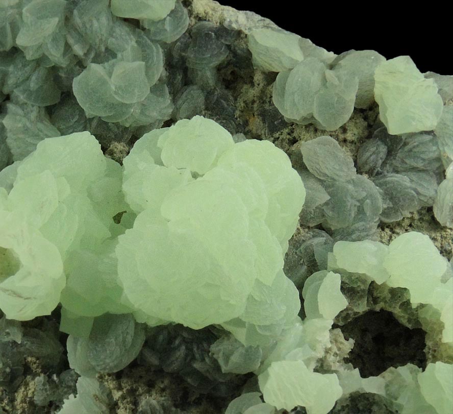 Prehnite with pseudomorphic molds after Laumontite from Fawn Drive, Livingston, Essex County, New Jersey