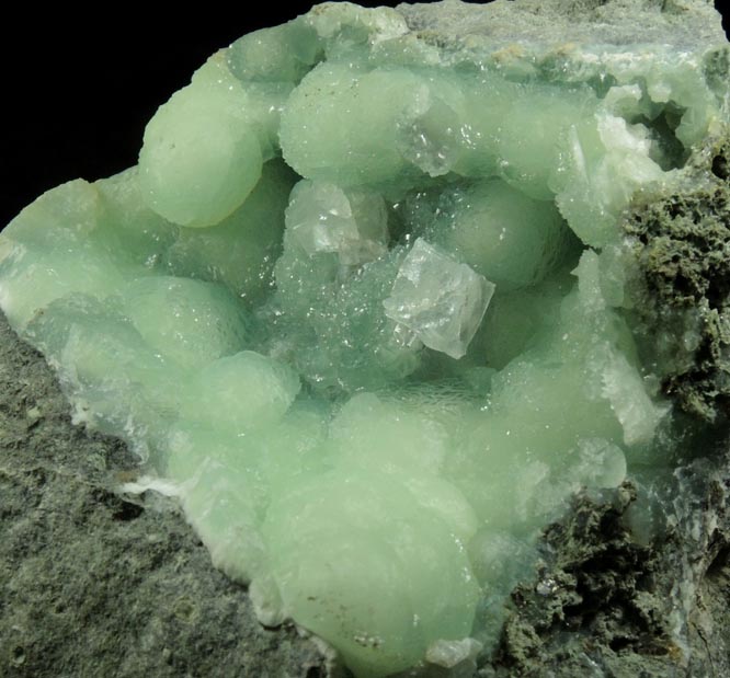 Calcite on Prehnite from Millington Quarry, Bernards Township, Somerset County, New Jersey