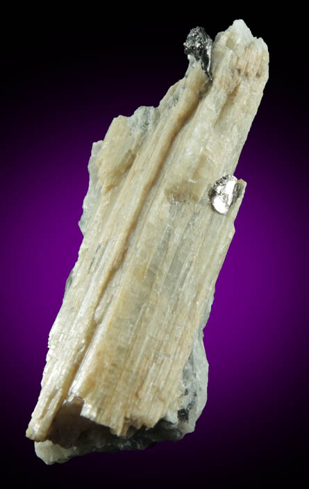 Graphite on Tremolite from Lime Crest Quarry (Limecrest), Sussex Mills, 4.5 km northwest of Sparta, Sussex County, New Jersey