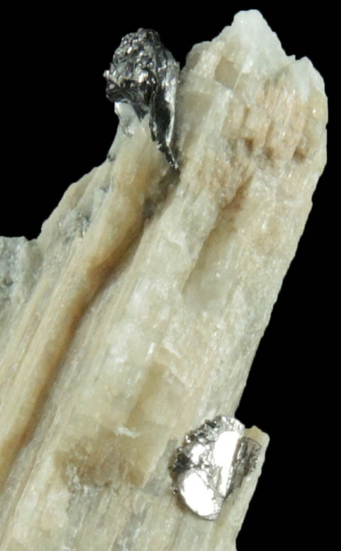 Graphite on Tremolite from Lime Crest Quarry (Limecrest), Sussex Mills, 4.5 km northwest of Sparta, Sussex County, New Jersey