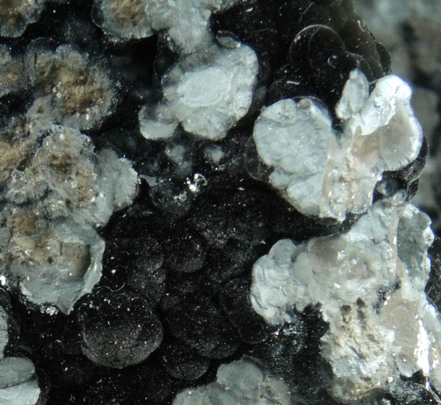 Psilomelane (Pyrolusite, Romanchite, Cryptomelane) from Lake Valley District, Sierra County, New Mexico