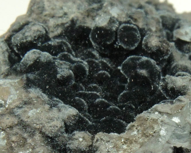 Psilomelane (Pyrolusite, Romanchite, Cryptomelane) from Lake Valley District, Sierra County, New Mexico