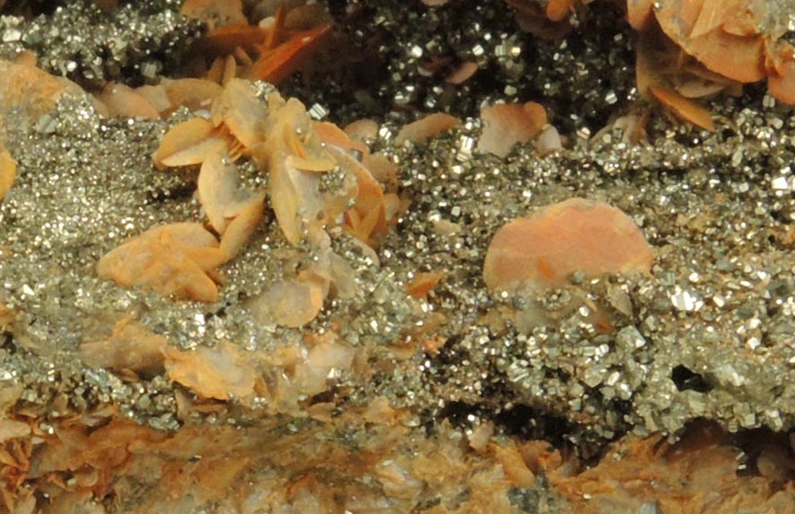 Pyrite and Siderite from Eagle Mine, Gilman District, Eagle County, Colorado