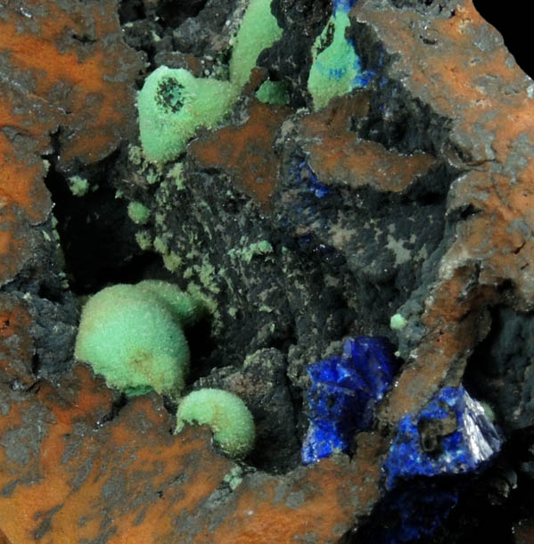 Azurite and Malachite from Morenci Mine, 4750' Level, Lone Star Area, Clifton District, Greenlee County, Arizona