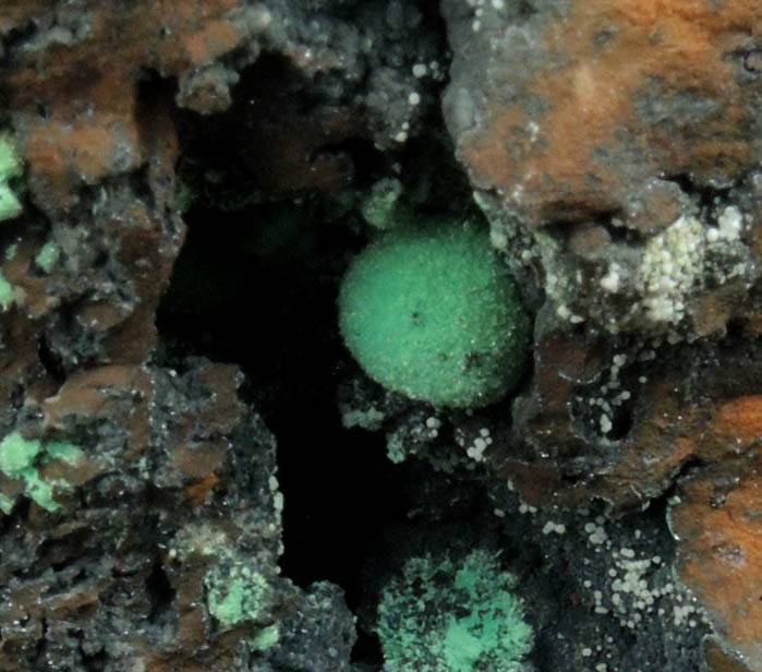 Azurite and Malachite from Morenci Mine, 4750' Level, Lone Star Area, Clifton District, Greenlee County, Arizona