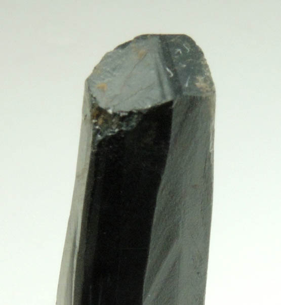 Schorl Tourmaline from Bald Mountain road cut, 9200' elevation, north of Idaho Springs, Clear Creek County, Colorado