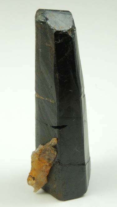 Schorl Tourmaline from Bald Mountain road cut, 9200' elevation, north of Idaho Springs, Clear Creek County, Colorado