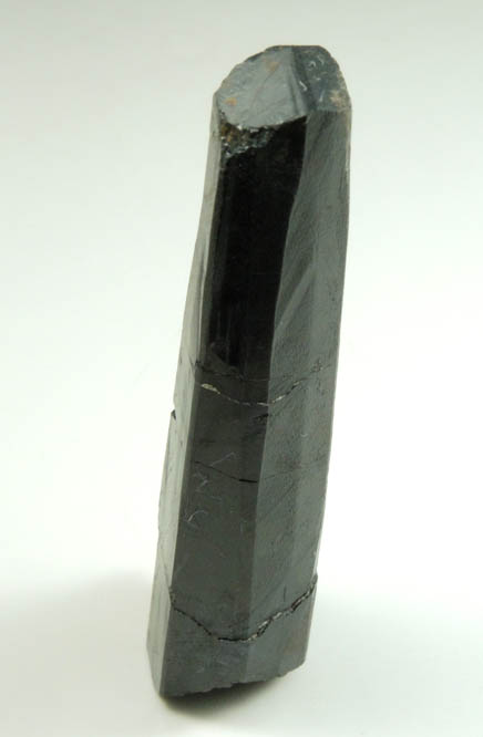 Schorl Tourmaline from Bald Mountain road cut, 9200' elevation, north of Idaho Springs, Clear Creek County, Colorado