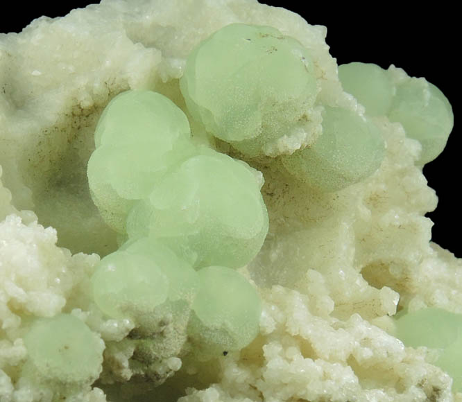 Prehnite on Datolite with Pyrite from Millington Quarry, Bernards Township, Somerset County, New Jersey