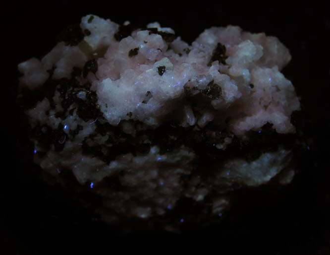Photo below under longwave ultraviolet illumination of Diopside and Albite from Mulvaney Property, Pitcairn, St. Lawrence County, New York Diopside and Albite from Mulvaney Property, Pitcairn, St. Lawrence County, New York