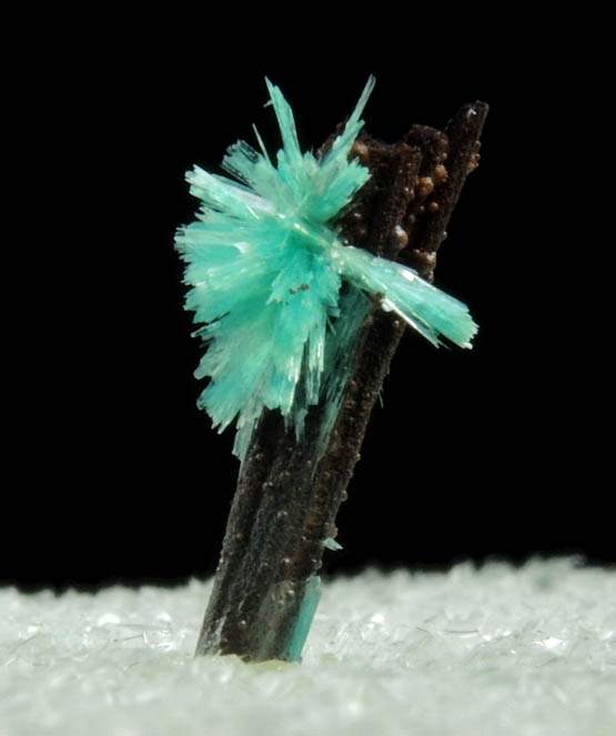 Aurichalcite on Goethite from 79 Mine, Banner District, near Hayden, Gila County, Arizona